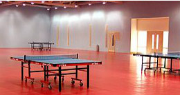 Indoor Sports Table Tennis