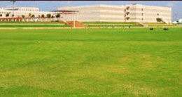 Outdoor Sports Soccer