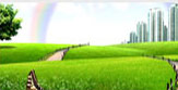aman - 2 Noida