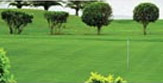Kube - Luxury Apartments Noida