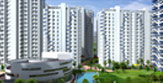 The Kove Sports City Noida