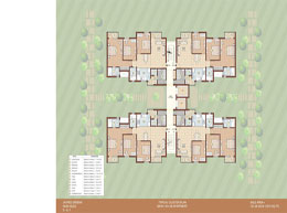 Floor Plans D-cluster-plan