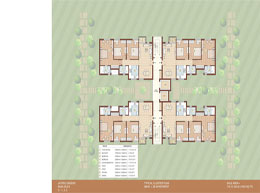 Floor Plans C-cluster-plan