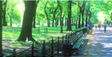 Kensington Boulevard Residential Noida