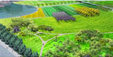 Krowns - The Residential Plots - 2 Sports City Yamuna Expressway