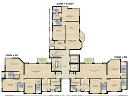 Floor Plans WHOLE TYPICAL FLOOR