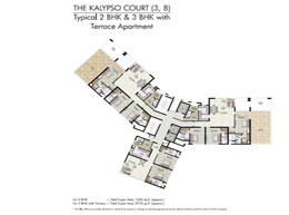 Floor Plans THE KALYPSO COURT(3,8) - Typical 2 BHK & 3 BHK with Terrace Apartment