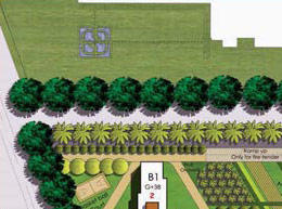 The Orchards - Site Plan