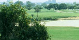 Jaypee Greens Town Homes Residential Greater Noida
